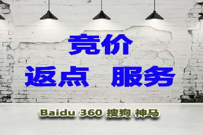 网站sem托管服务提供商的成功案例分析