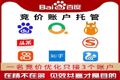 百度搜索引擎优化推广：成功案例揭秘
